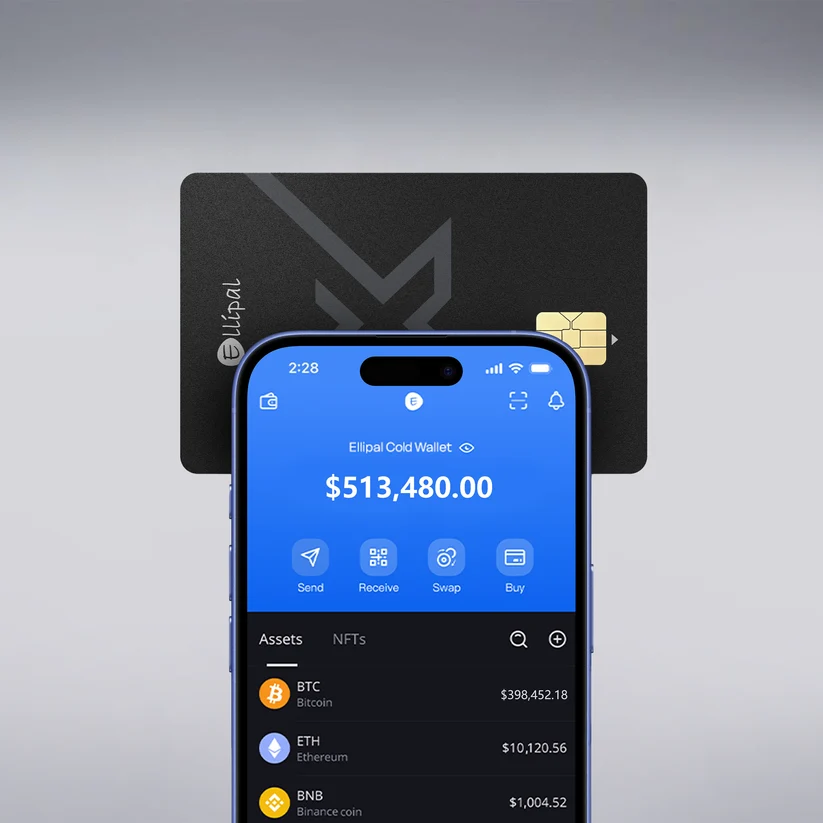 Ellipal X Card Duo - Image 2